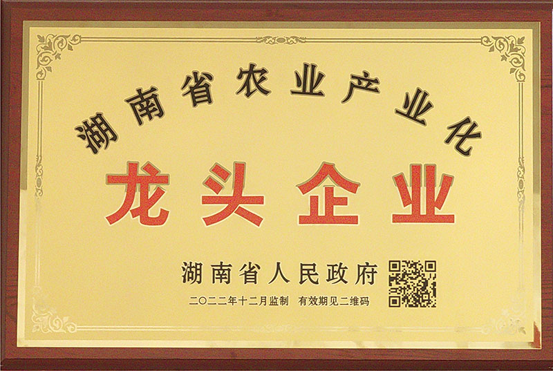 湖南省農業產業化龍頭草莓视频色版在线观看